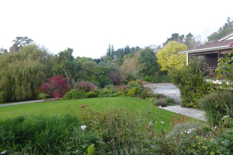 Photo of property in 99 Pye Road, Geraldine Downs, Geraldine, 7991