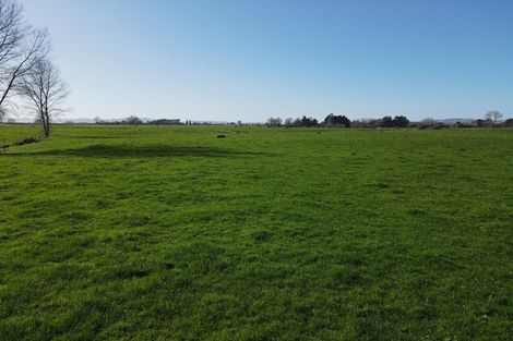 Photo of property in 91 Goodwin Road, Ohaupo, Cambridge, 3495