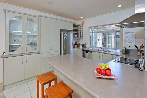 Photo of property in 32 Highfields Terrace, Henderson, Auckland, 0612