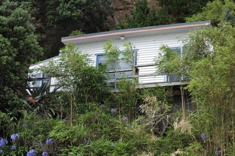 Photo of property in 824 Thames Coast Sh25 Road, Tapu, Thames, 3575