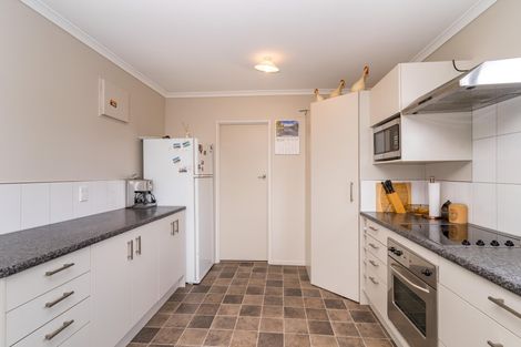 Photo of property in 17 Macaulay Place, Twizel, 7901