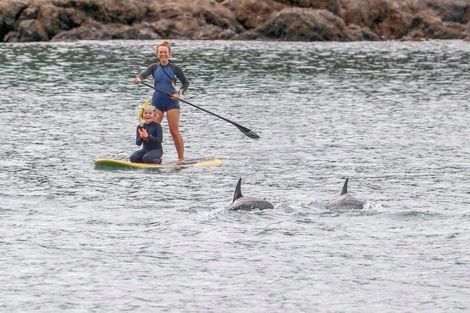 Photo of property in 203 Houghton Bay Road, Houghton Bay, Wellington, 6023