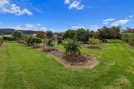 Photo of property in 86f Mimiha Ridge Road, Matata, Whakatane, 3194