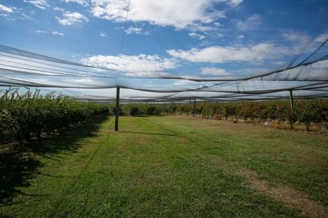 Photo of property in 1/3200 Cambridge Road, Rotoorangi, Cambridge, 3495