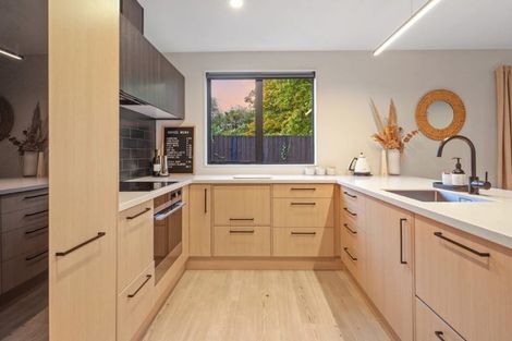 Photo of property in 30a Allard Street, Edgeware, Christchurch, 8013