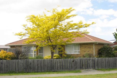 Photo of property in 33 Arthur Baker Place, Redwoodtown, Blenheim, 7201