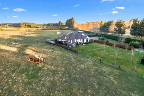 Photo of property in 119 Mairaki Road, Fernside, Rangiora, 7471