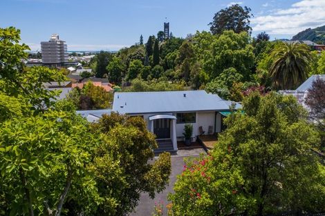 Photo of property in 386 Trafalgar Street, Nelson, 7010