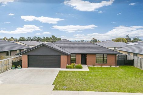 Photo of property in 10 Caproni Road, Burleigh, Blenheim, 7201