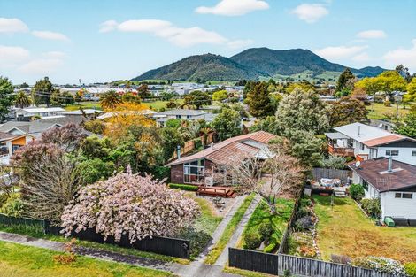 Photo of property in 84 Hinemoa Avenue, Taupo, 3330