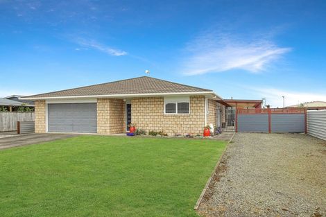 Photo of property in 16 Johnston Street, Foxton, 4814