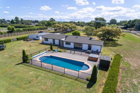 Photo of property in 48 Peake Road, Cambridge, Hamilton, 3283