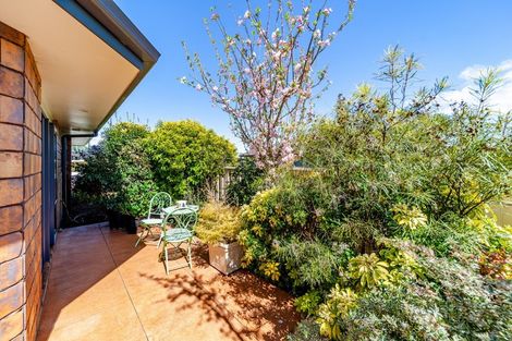 Photo of property in 23 Belgrove Drive, Waipukurau, 4200