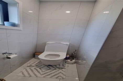 Photo of property in 3 Lerwick Terrace, Melrose, Wellington, 6023