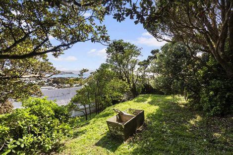 Photo of property in 65 Mantell Street, Seatoun, Wellington, 6022