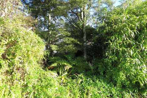 Photo of property in 40 Boatmans Road, Cronadun, Reefton, 7895