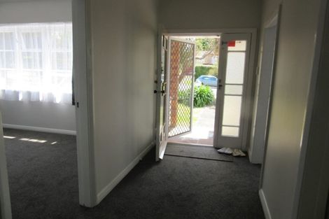 Photo of property in 13 Massey Avenue, Greenlane, Auckland, 1061