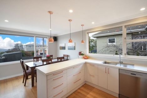 Photo of property in 7 Lesney Street, Maryhill, Dunedin, 9011