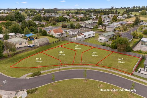 Photo of property in 40 Scotia Glen Street, Putaruru, 3411
