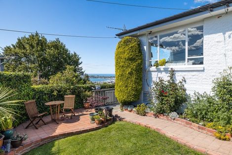 Photo of property in 16 Littlebourne Road, Roslyn, Dunedin, 9010