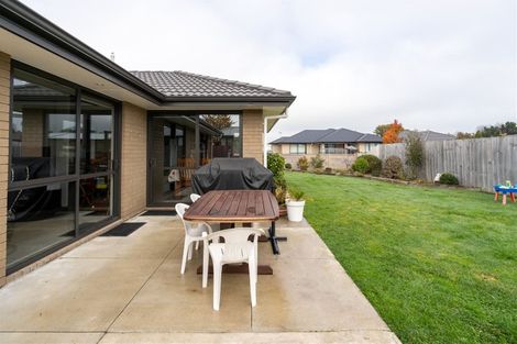 Photo of property in 7 Epping Place, Dinsdale, Hamilton, 3204