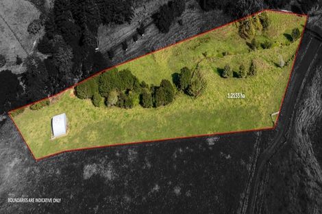 Photo of property in 563 Ness Valley Road, Ness Valley, Clevedon, 2585