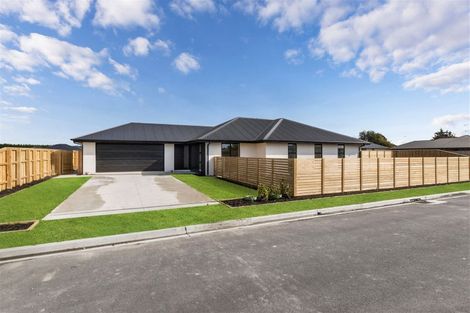 Photo of property in 3 Meadow Lane, Tinwald, 7774