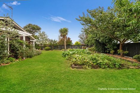 Photo of property in 285 Kensington Avenue, Rangiora, 7400