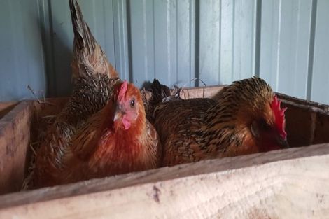 Photo of property in 78 Koraha Road, Kumeu, 0892