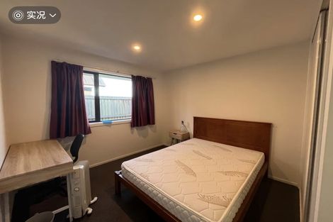 Photo of property in 586 Birchs Road, Lincoln, 7608