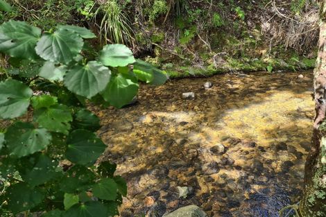 Photo of property in 42 Waiomu Valley Road, Waiomu, Thames, 3575