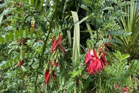 Photo of property in 72 Toi Toi Street, Toi Toi, Nelson, 7010