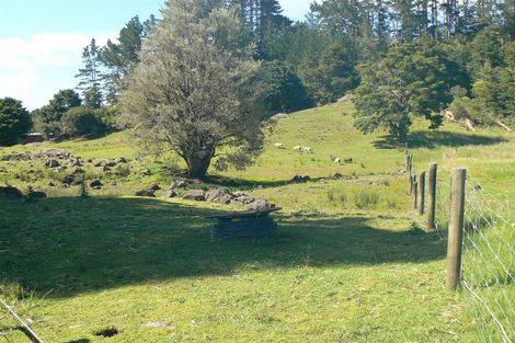 Photo of property in 255 Punakitere Road, Taheke, Kaikohe, 0473