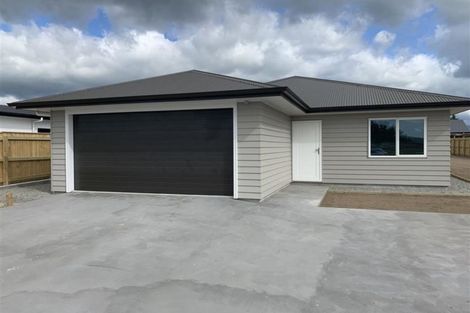 Photo of property in 56 Gimson Street, Solway, Masterton, 5810