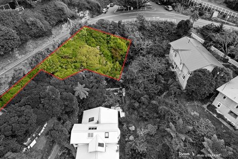 Photo of property in 67 Raroa Road, Kelburn, Wellington, 6012