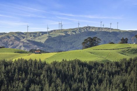 Photo of property in 58 Munns Road, Raglan, 3296