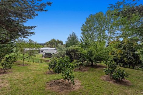 Photo of property in 133 Hogg Road, Rotoma, Whakatane, 3192