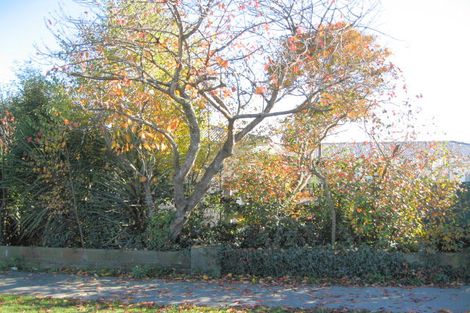 Photo of property in 55a Tyrone Street, Belfast, Christchurch, 8051