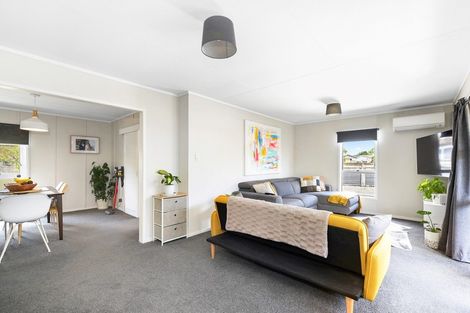 Photo of property in 52 Ascot Road, Chartwell, Hamilton, 3210