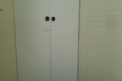 Photo of property in 5 Brown Street, Mount Cook, Wellington, 6021