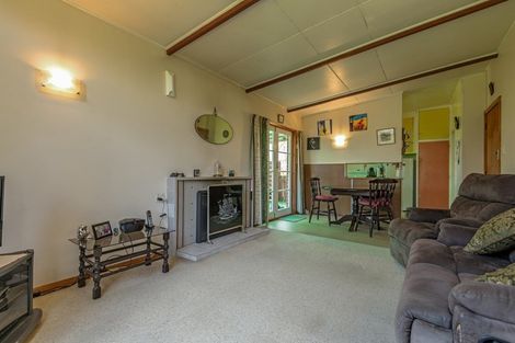 Photo of property in 23 Hennesey Road, Shannon, Palmerston North, 4474