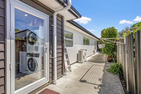 Photo of property in 83c Fitzroy Street, Terrace End, Palmerston North, 4410