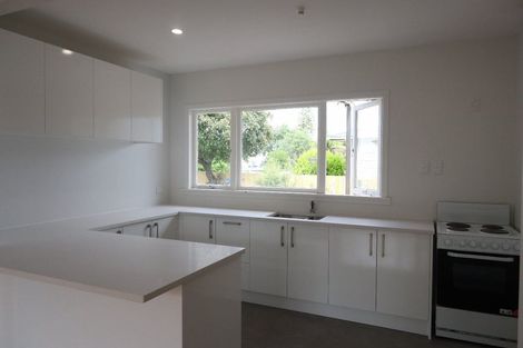Photo of property in 419 Massey Road, Mangere East, Auckland, 2024
