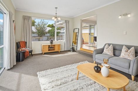 Photo of property in 19 Selbourne Avenue, Richmond, 7020