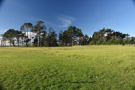 Photo of property in 986 Tinopai Road, Tinopai, Matakohe, 0593