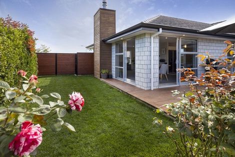 Photo of property in 53 Grigg Drive, Witherlea, Blenheim, 7201