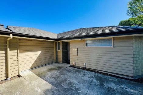 Photo of property in 12a Walpole Street, Waltham, Christchurch, 8023