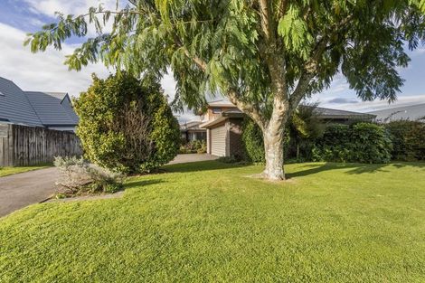 Photo of property in 35 Findlater Street, Matamata, 3400