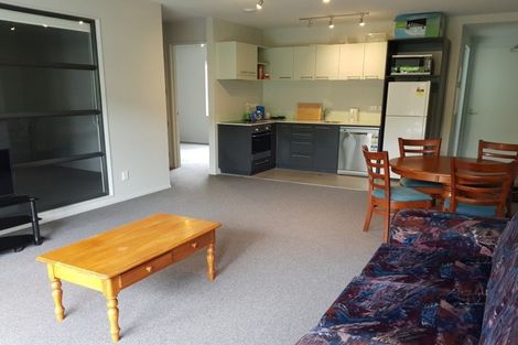 Photo of property in Detroit Apartments, 212/181 Tasman Street, Mount Cook, Wellington, 6021