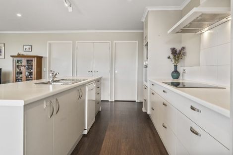 Photo of property in 77 Chelsea Avenue, Richmond, 7020